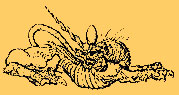 uroboros